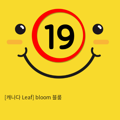 [Leaf 리프-캐나다] bloom 블룸